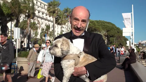 The celebrity dogs of Cannes