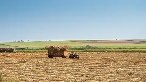 Business Daily, Business Daily, Brazil’s agricultural boom