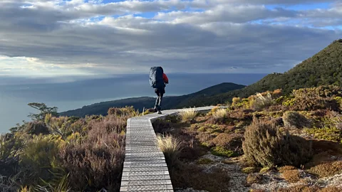 Hiker on Hump Ridge Track (Credit: Jessica Wynne Lockhart)