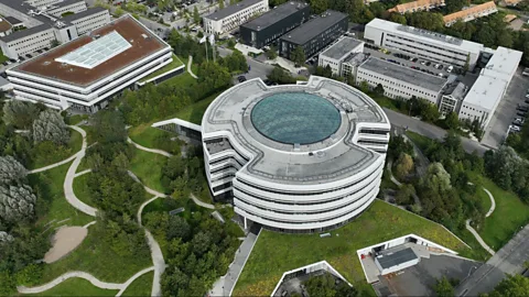 Business Daily, Business Daily, Denmark and the Novo Nordisk effect