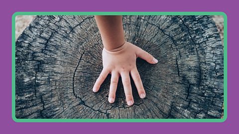 A child's hand resting on an aged tree stump.