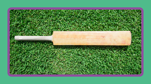 Cricket bat on grass.