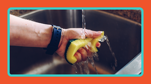A hand squeezing a sponge under a running tap.