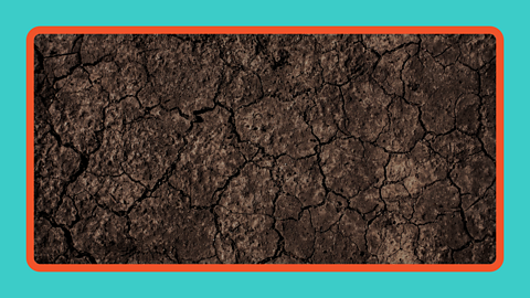 Clay soil with cracks