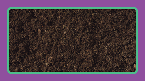 Peaty soil