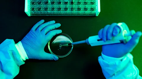 Scientist with petri dish under green light (Credit: Getty Images)