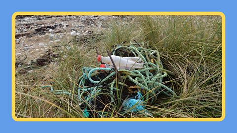 Ocean plastic and waste on a beach in Ireland.