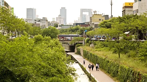 How greening our cities can reduce heat stress