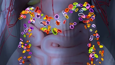 How your gut microbes shape your health