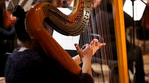 A side view photo of a person playing an orchestral harp. 