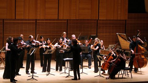 A string ensemble of 16 musicians playing a range of stringed instruments.  They are on a stage, each with a music stand in front of them all facing the conductor at the front of the group.