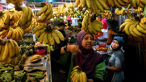 The Documentary Podcast, Solutions Journalism: Going bananas