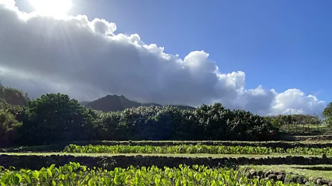 The Documentary Podcast, Under ash: Uncovering Maui’s past