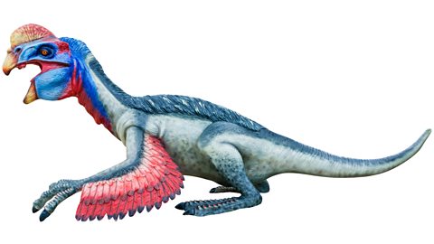 Image of an Oviraptor which is blue, with red feathers on its wings and yellow beak. 