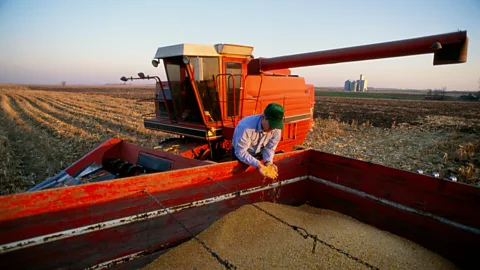 Business Daily, Business Daily, US Election: The view from the fields