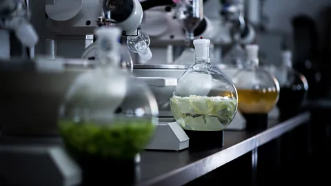 Round bottles in a lab with different ingredients in them (Credit: Cambridge Distillery)