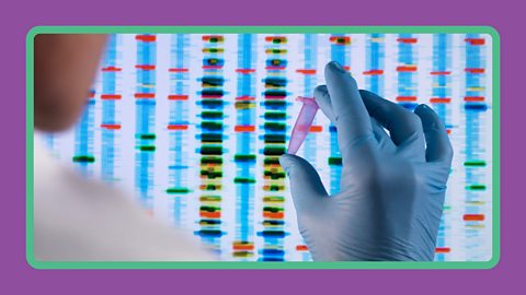 A scientist holding a test tube in front of DNA data.