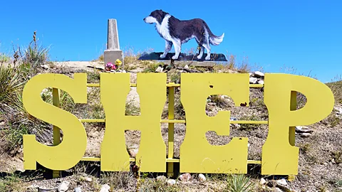 The grave of Shep the dog (Credit: Paul Koudounaris)