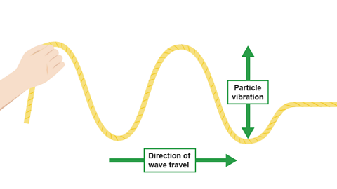 A hand quickly moved up to continue the sine wave motion in the rope. The waves travel from left to right, and the particles of the rope vibrate vertically.