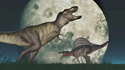 CrowdScience, CrowdScience, How did the Moon affect the dinosaurs?