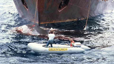 ALT TEXT: A Greenpeace zodiac dinghy with a man on it beside a large vessel, with a harpooner whale visible in the water (Credit: Rex Weyler)