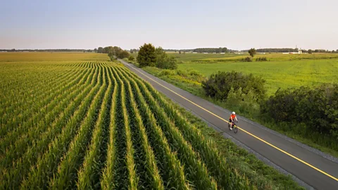 A biker on a road beside a field on the Vu00e9loroute Gourmande (Credit: Tourisme Montu00e9ru00e9gie)