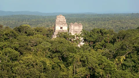 Temple IV at Tikal, modern Guatemala (Credit: Getty Images)