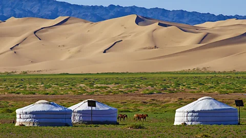 A look at life as a traditional nomad in Mongolia