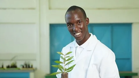 Business Daily, Business Daily, Battling the world's most invasive aquatic plant