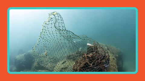Discarded fishing nets at the bottom of the sea.
