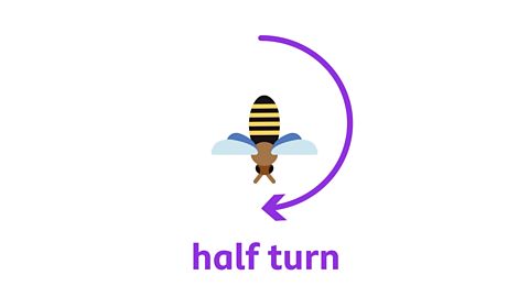 an image of a bee doing a half turn
