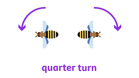 an image of two bees doing quarter turns