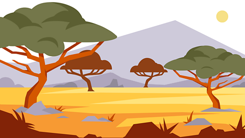 A hot savannah habitat