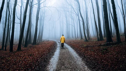 A man standing in a woodland (Credit: Getty Images)