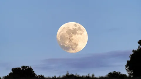 CrowdScience, CrowdScience, Will the Earth ever lose its Moon?