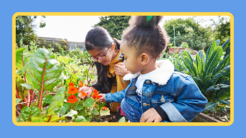 Children gardening in a community garden
