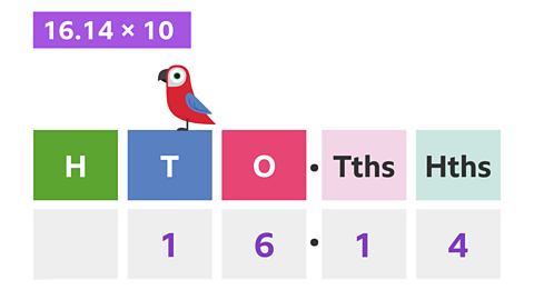Place value blocks with H, T (1 under it), O (6 under it) decimal point Tths (1 under it), Hths (4 under it). A brightly coloured parrot is perched on the T block.