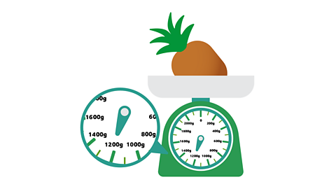 Pineapple on a weighing scale. A close-up of the dial indicates a weight of 1200 grams. 