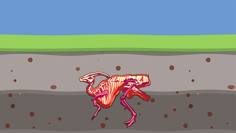 A skeleton buried under stone sediment