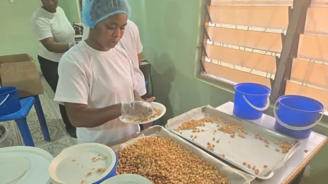 Business Daily, Business Daily, Cashing in on Ghana's cashews