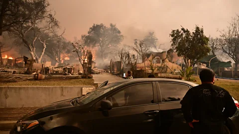 Business Daily, Business Daily, California’s insurance crisis