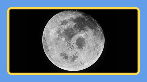 The cratered surface on the moon.