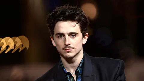 Portrait of Timothée Chalamet (Credit: Getty Images)