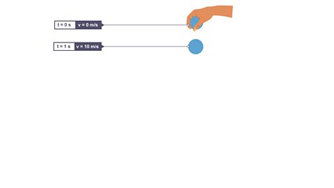 At time (t) one second, the ball's velocity is 10 m/s. 