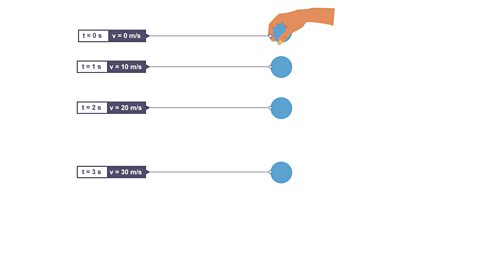The ball's velocity is 30 m/s after time (t) 3s as it travels downwards.