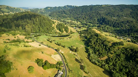 A landscape image showing grass, patches of trees and forest and a road (Credit: Trust for Public Land)