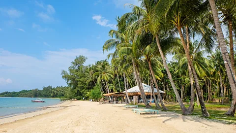 A rice field on the Koh Mak island with house in distance (Credit: Getty Images)