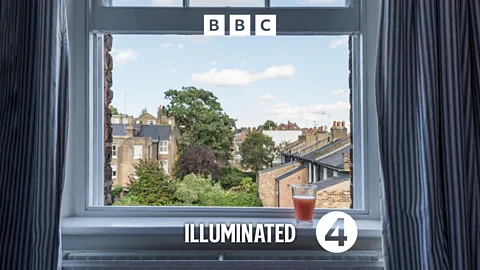 Illuminated, Illuminated, The Endemic Truth