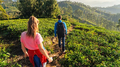 Two people walking on the Pekoe Trail, Sri Lanka (Credit: Getty Images)