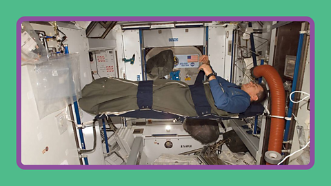An astronaut sleeps suspended in a sleeping bag attached to the inner walls of the ISS.